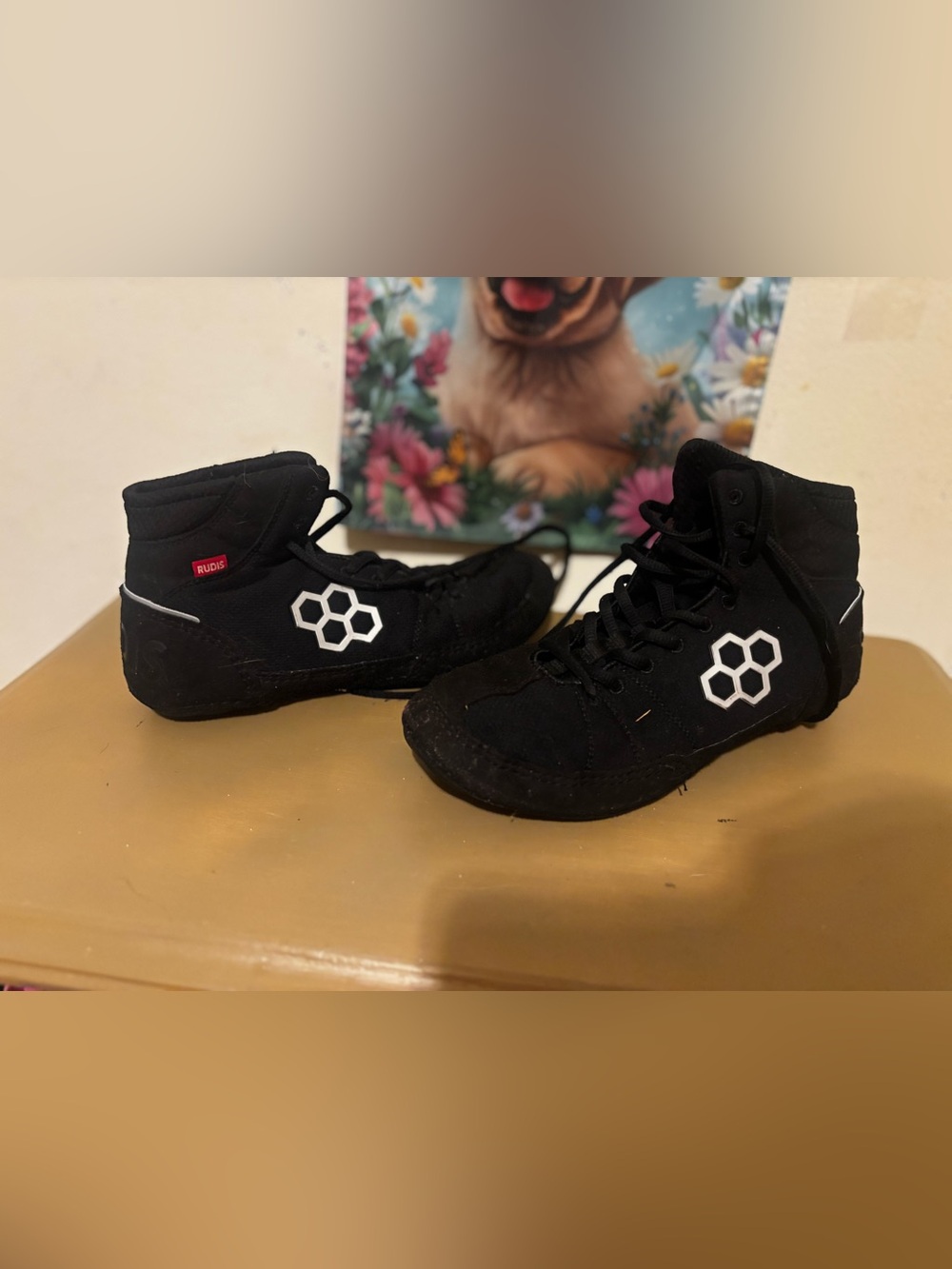 Rudis Colt 3.0 wrestling shoe